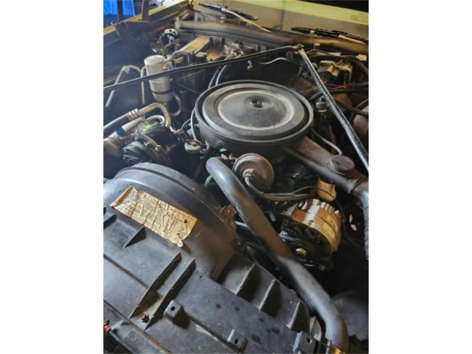 1979 Oldsmobile 88 - Image 12 of 13