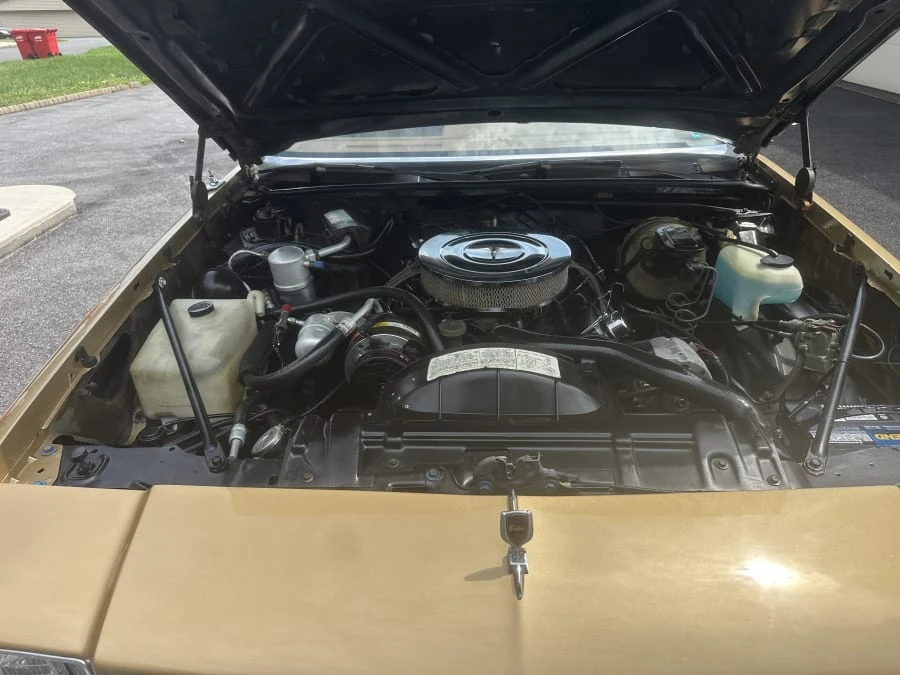 1979 Oldsmobile Hurst/Olds - Image 17 of 19