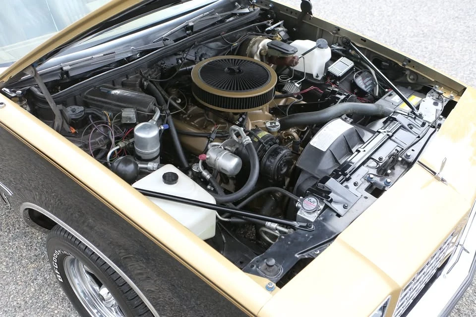 1979 Oldsmobile Hurst/Olds - Image 20 of 20