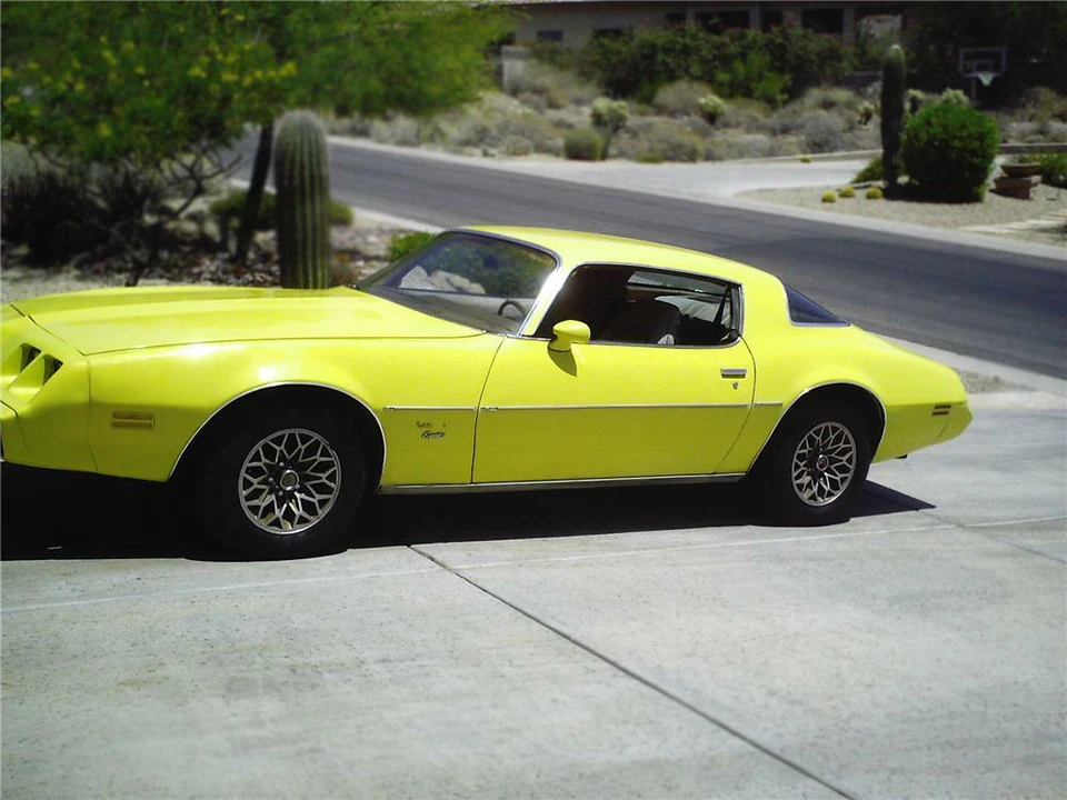 1979 Pontiac Firebird 2nd Gen - Image 2 of 3
