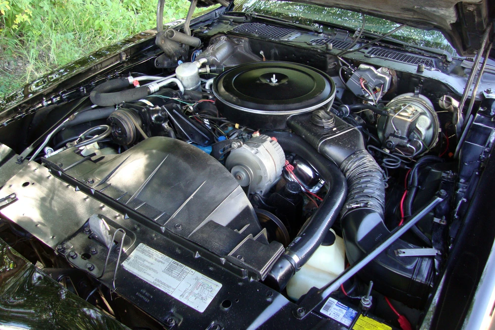 1979 Pontiac Firebird 2nd Gen - Image 3 of 5