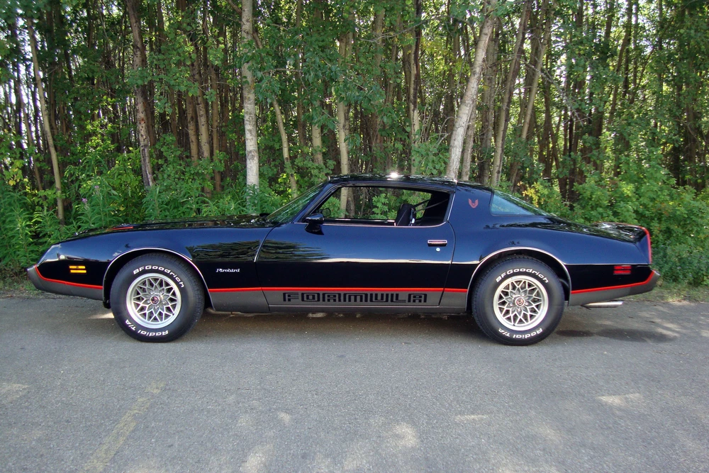 1979 Pontiac Firebird 2nd Gen - Image 5 of 5