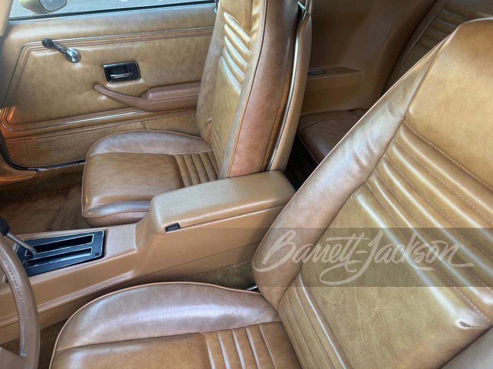 1979 Pontiac Firebird Trans Am 2nd Gen - Image 17 of 19
