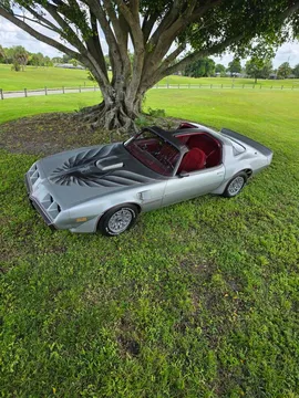 1979 Pontiac Firebird Trans Am
