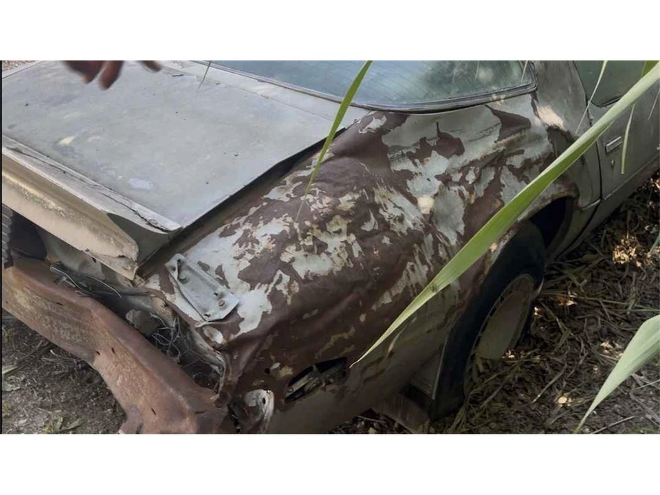 1979 Pontiac Firebird 2nd Gen - Image 4 of 12