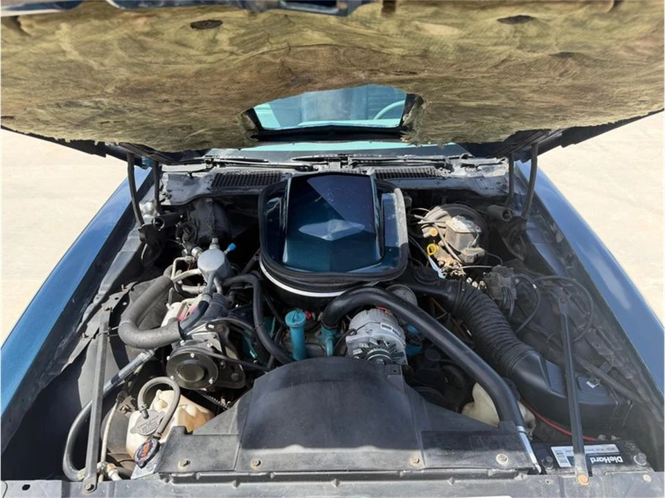 1979 Pontiac Firebird 2nd Gen - Image 12 of 14
