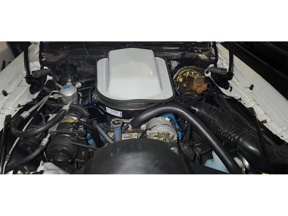 1979 Pontiac Firebird 2nd Gen - Image 11 of 15