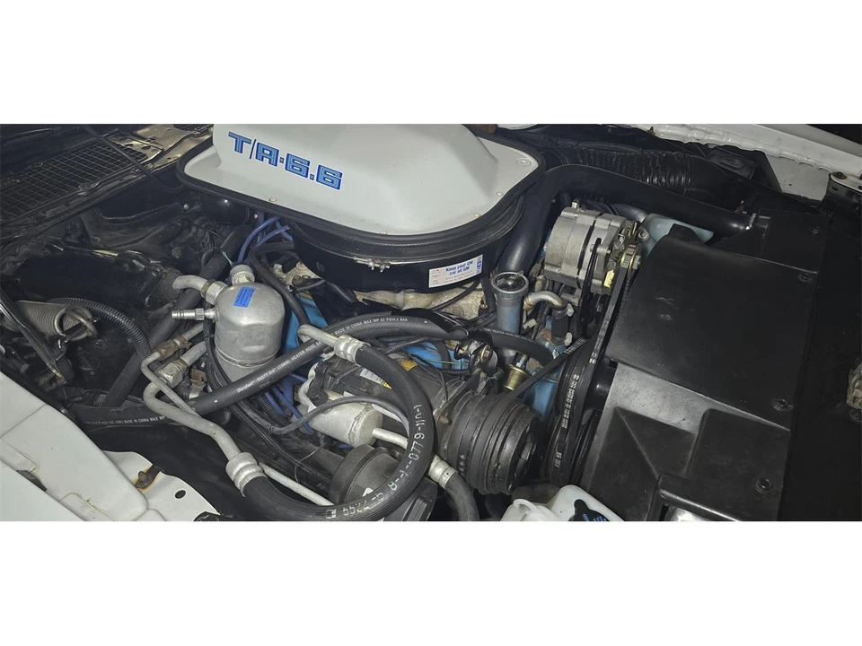 1979 Pontiac Firebird 2nd Gen - Image 12 of 15