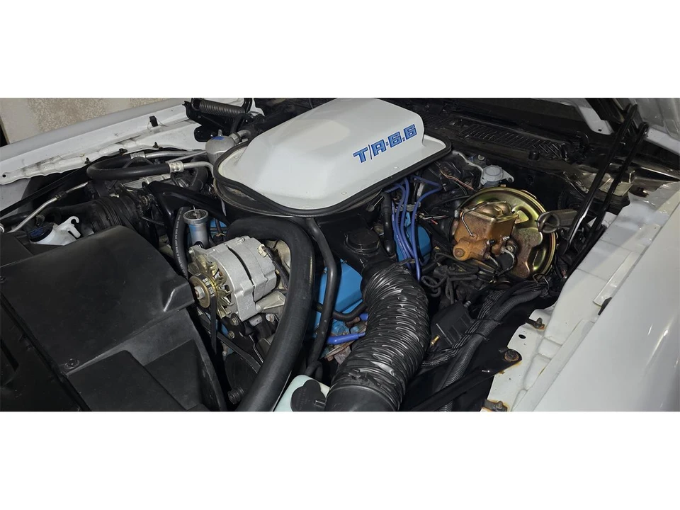 1979 Pontiac Firebird 2nd Gen - Image 13 of 15