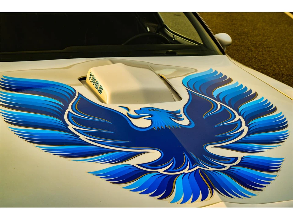 1979 Pontiac Firebird 2nd Gen - Image 7 of 15