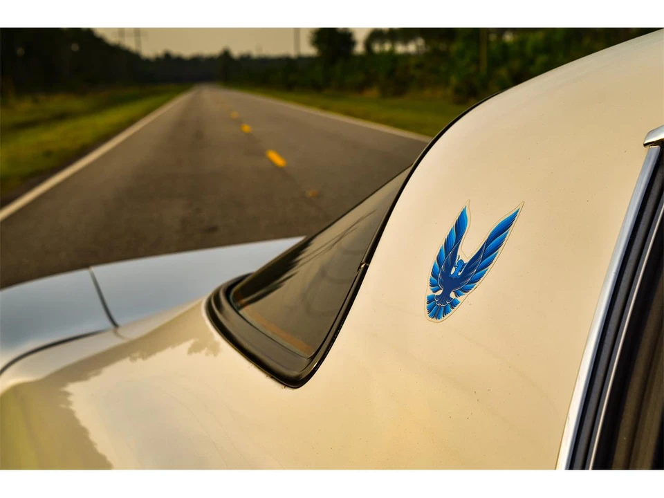 1979 Pontiac Firebird 2nd Gen - Image 9 of 15