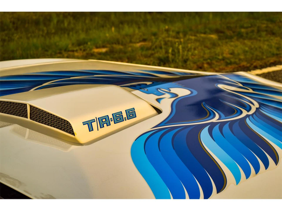 1979 Pontiac Firebird 2nd Gen - Image 8 of 15