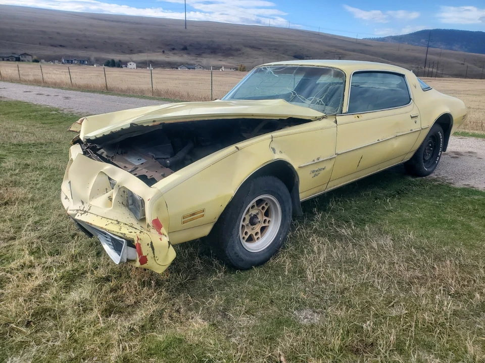 1979 Pontiac Firebird 2nd Gen - Image 6 of 20