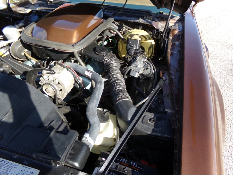 1979 Pontiac Firebird 2nd Gen - Image 18 of 21