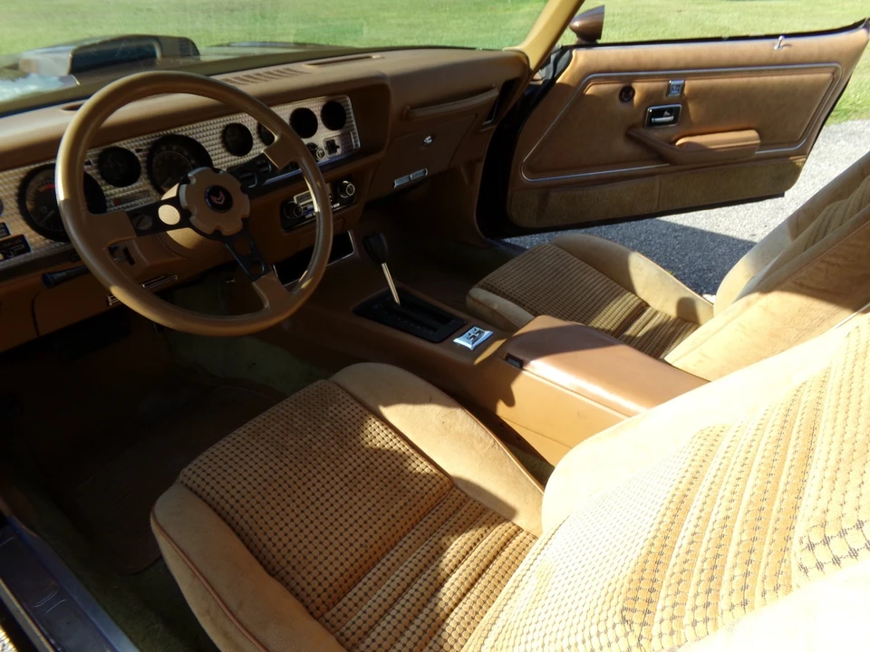 1979 Pontiac Firebird 2nd Gen - Image 14 of 21