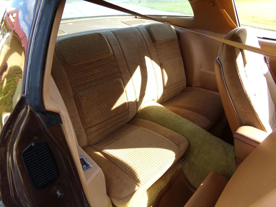 1979 Pontiac Firebird 2nd Gen - Image 7 of 21