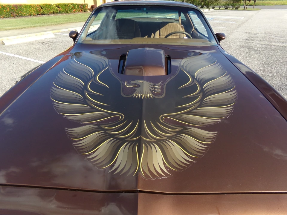1979 Pontiac Firebird 2nd Gen - Image 2 of 21