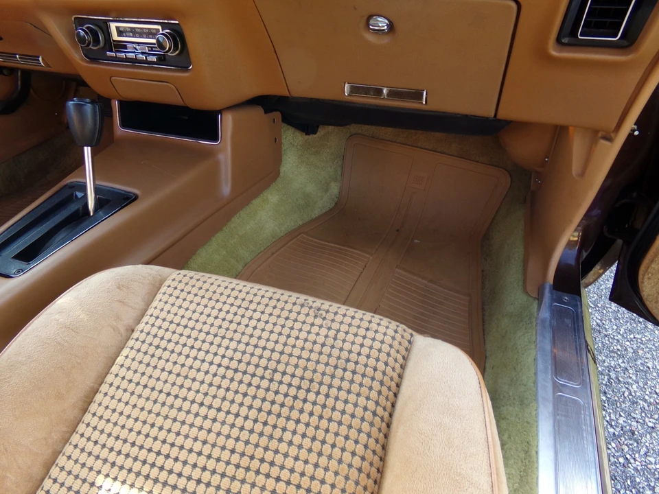 1979 Pontiac Firebird 2nd Gen - Image 10 of 21