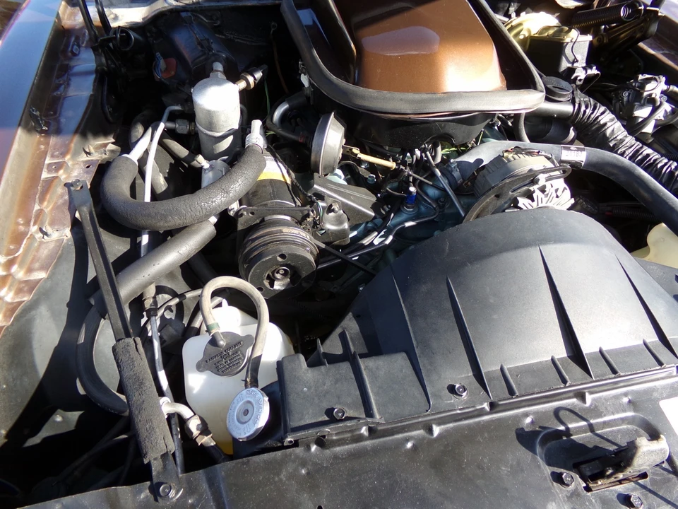 1979 Pontiac Firebird 2nd Gen - Image 19 of 21