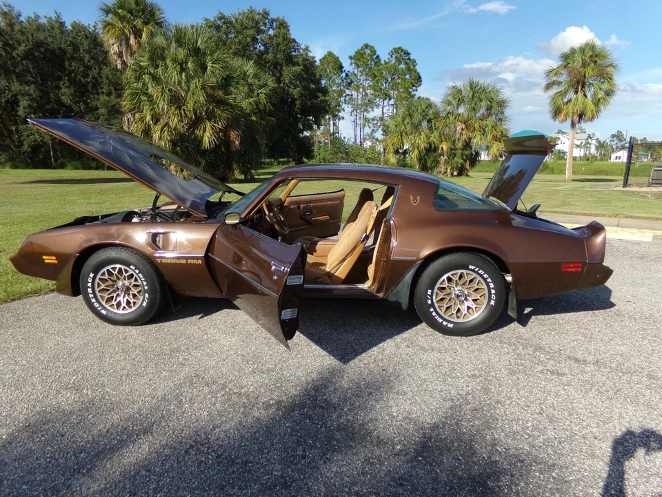 1979 Pontiac Firebird 2nd Gen - Image 20 of 21
