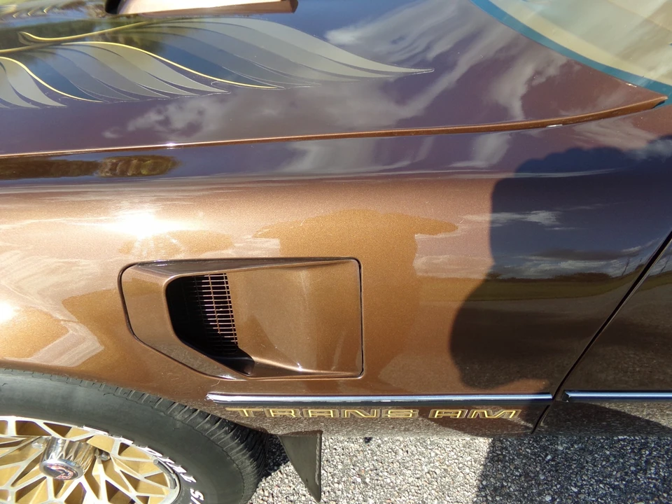 1979 Pontiac Firebird 2nd Gen - Image 4 of 21