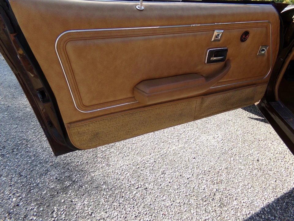 1979 Pontiac Firebird 2nd Gen - Image 12 of 21