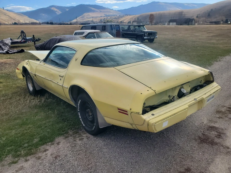 1979 Pontiac Firebird 2nd Gen - Image 2 of 20