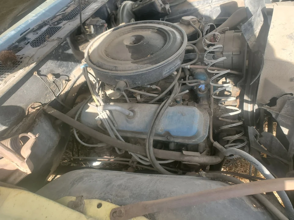 1979 Pontiac Firebird 2nd Gen - Image 10 of 20