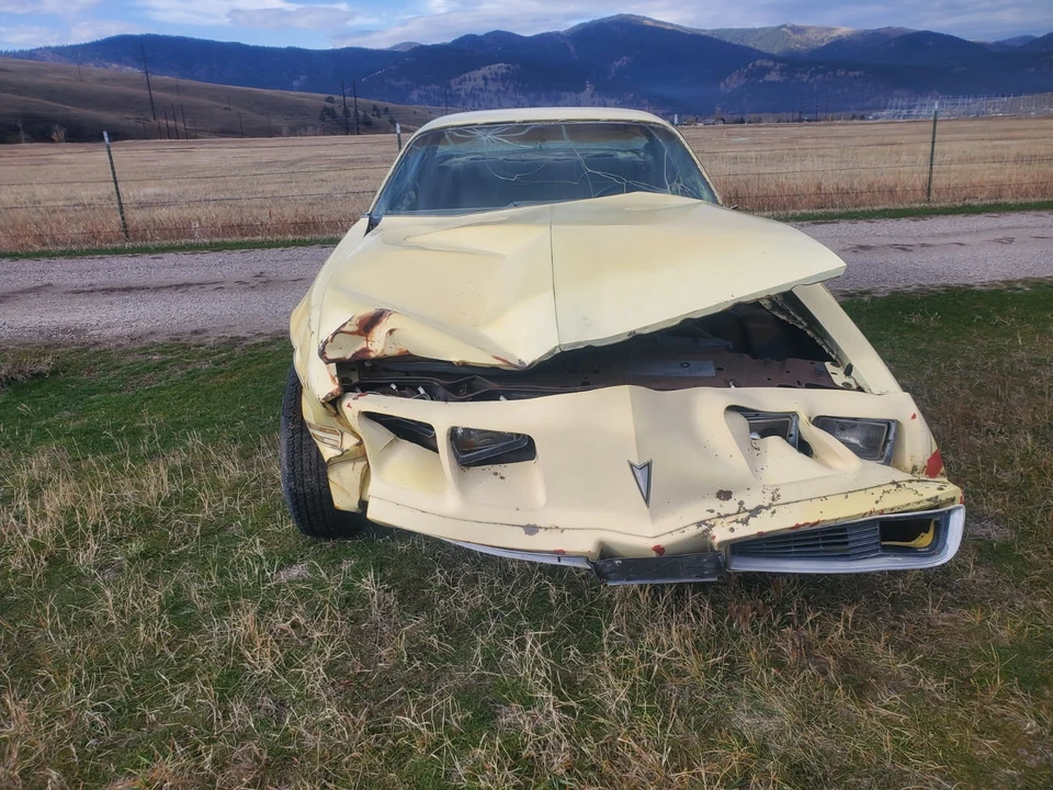 1979 Pontiac Firebird 2nd Gen - Image 5 of 20