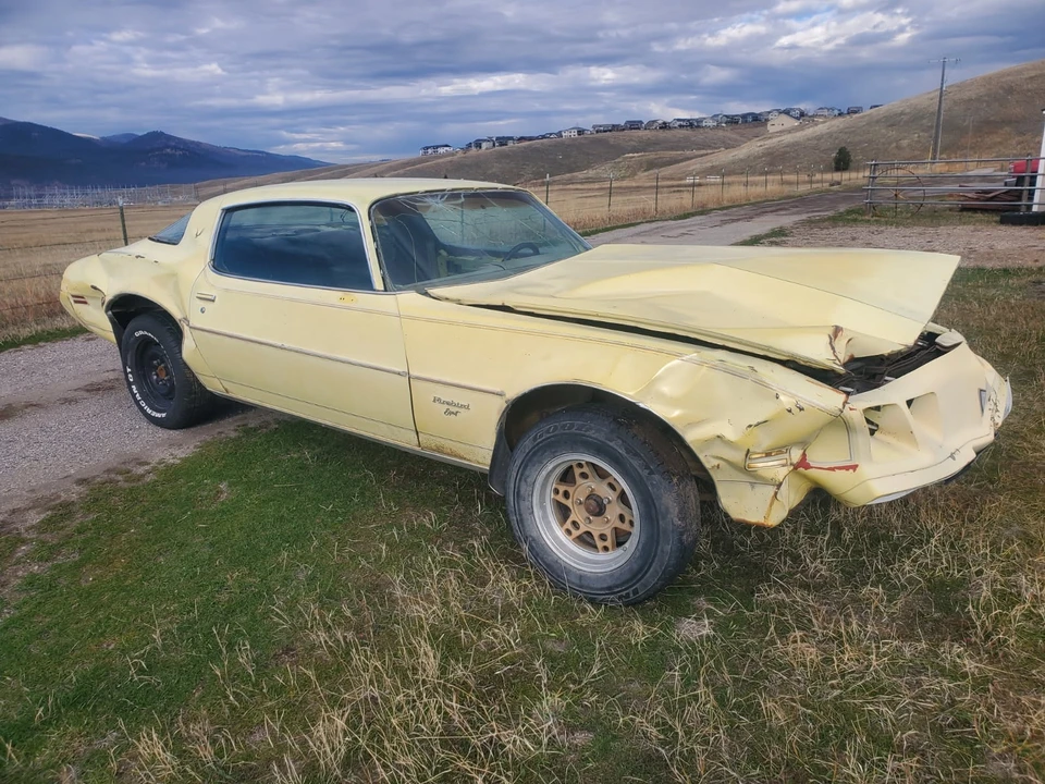 1979 Pontiac Firebird 2nd Gen - Image 8 of 20
