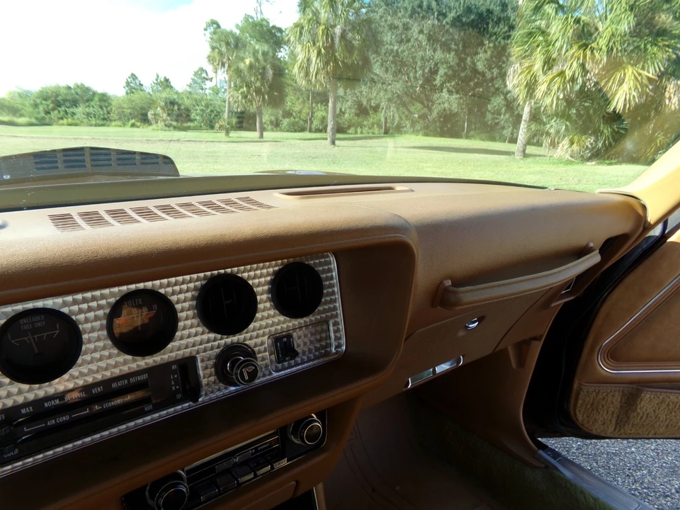 1979 Pontiac Firebird 2nd Gen - Image 17 of 21