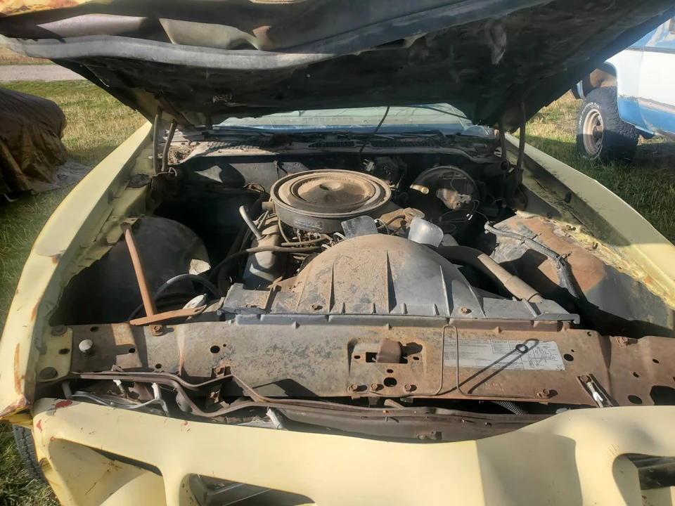1979 Pontiac Firebird 2nd Gen - Image 11 of 20