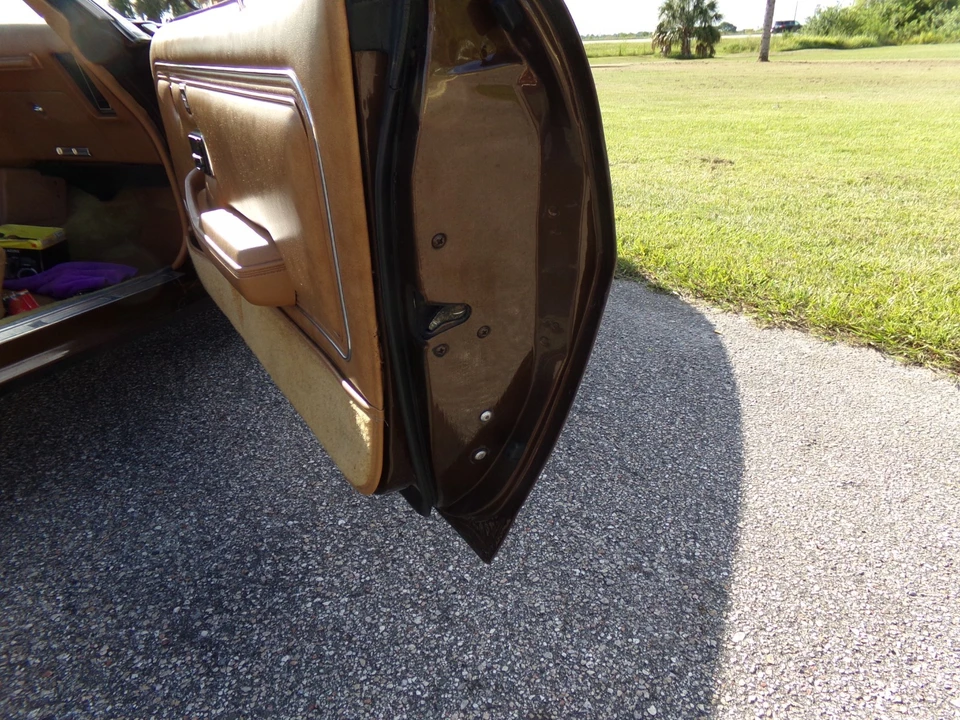 1979 Pontiac Firebird 2nd Gen - Image 9 of 21