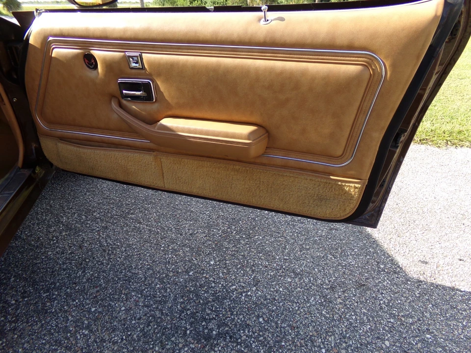 1979 Pontiac Firebird 2nd Gen - Image 8 of 21