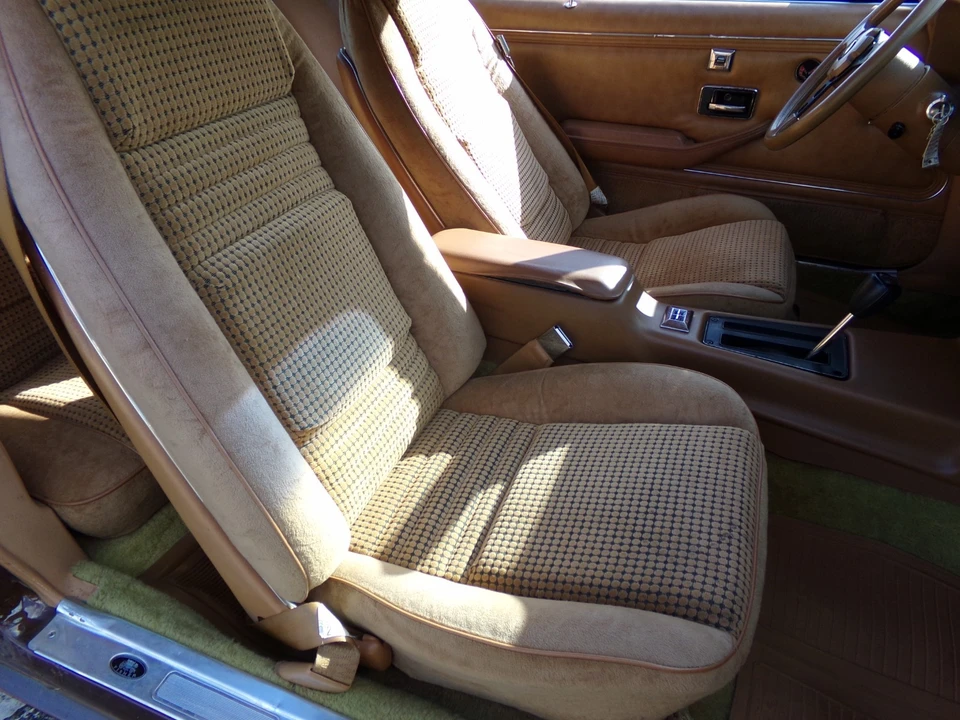 1979 Pontiac Firebird 2nd Gen - Image 11 of 21