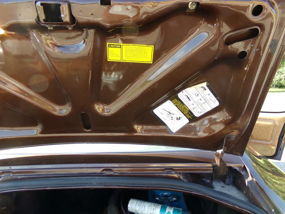 1979 Pontiac Firebird 2nd Gen - Image 21 of 21