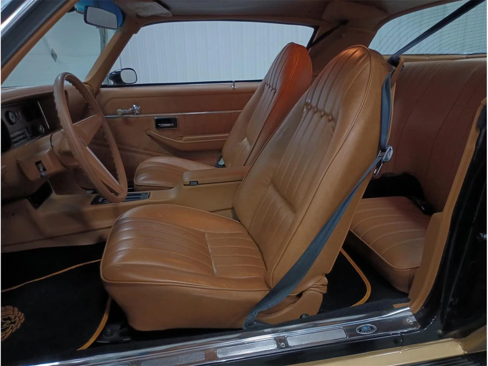 1979 Pontiac Firebird 2nd Gen - Image 21 of 31