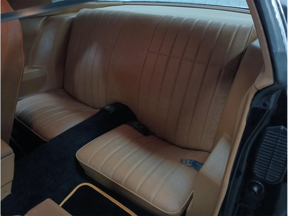 1979 Pontiac Firebird 2nd Gen - Image 19 of 31