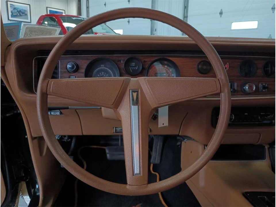1979 Pontiac Firebird 2nd Gen - Image 12 of 31