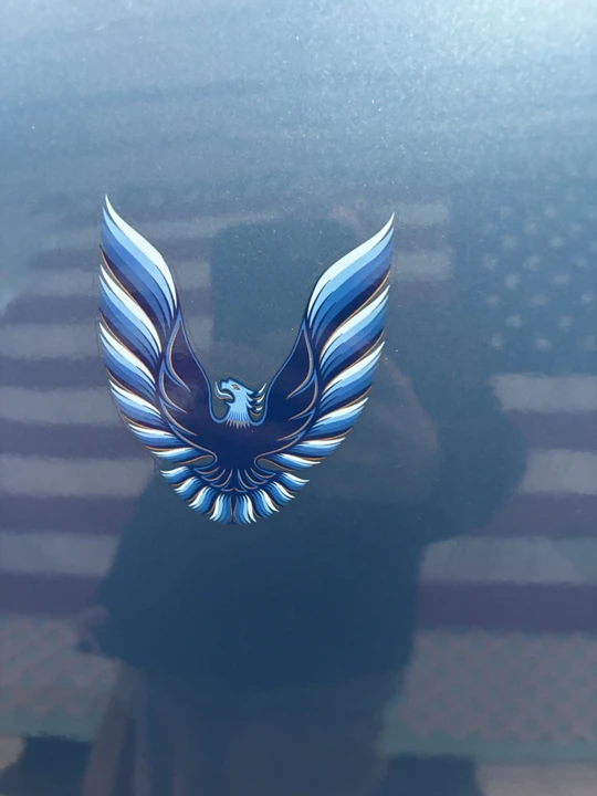 1979 Pontiac Firebird 2nd Gen - Image 18 of 31