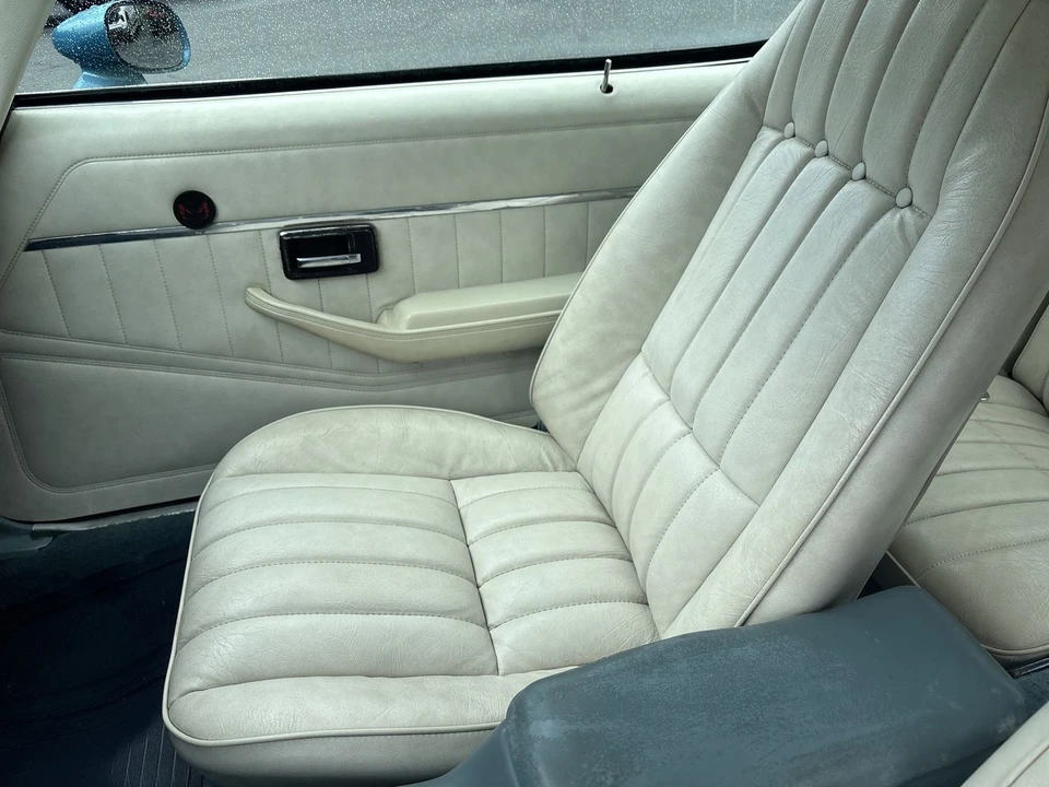 1979 Pontiac Firebird 2nd Gen - Image 17 of 21