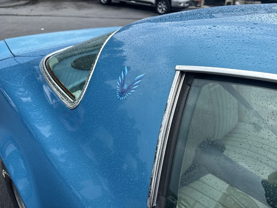 1979 Pontiac Firebird 2nd Gen - Image 10 of 21