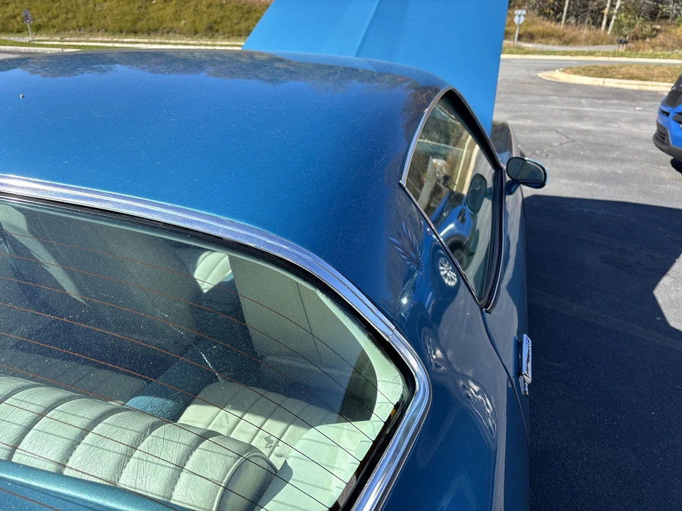 1979 Pontiac Firebird 2nd Gen - Image 30 of 31