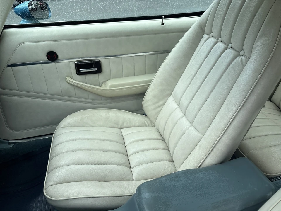 1979 Pontiac Firebird 2nd Gen - Image 17 of 31