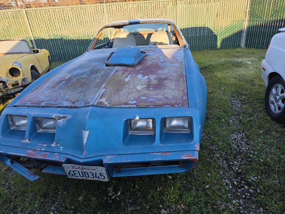 1979 Pontiac Firebird 2nd Gen - Image 2 of 10