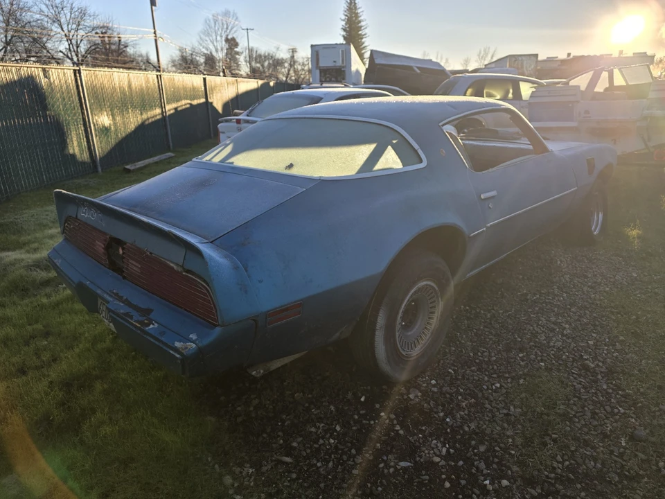 1979 Pontiac Firebird 2nd Gen - Image 6 of 10