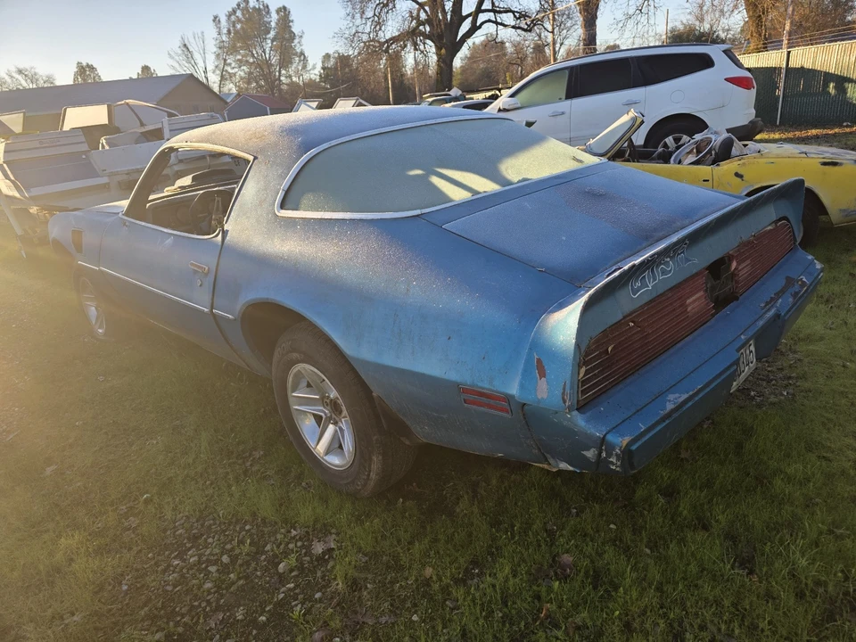 1979 Pontiac Firebird 2nd Gen - Image 4 of 10