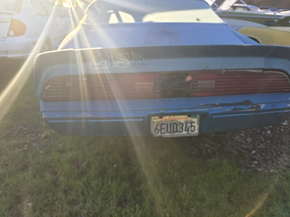 1979 Pontiac Firebird 2nd Gen - Image 5 of 10