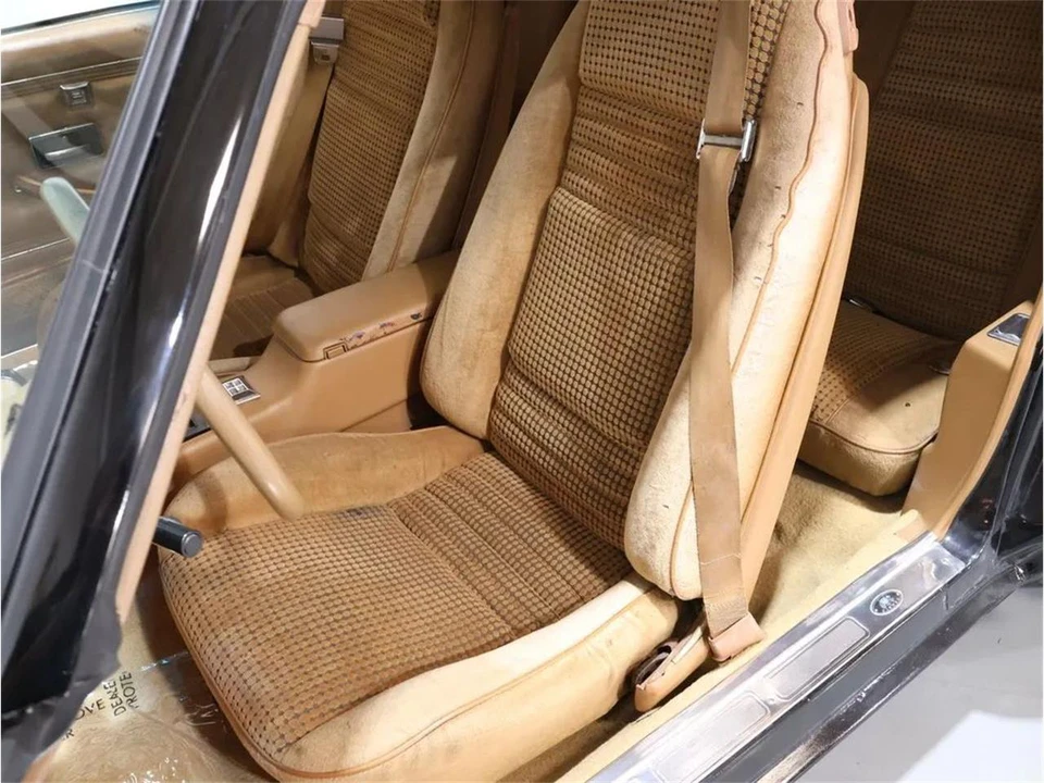 1979 Pontiac Firebird 2nd Gen - Image 13 of 31