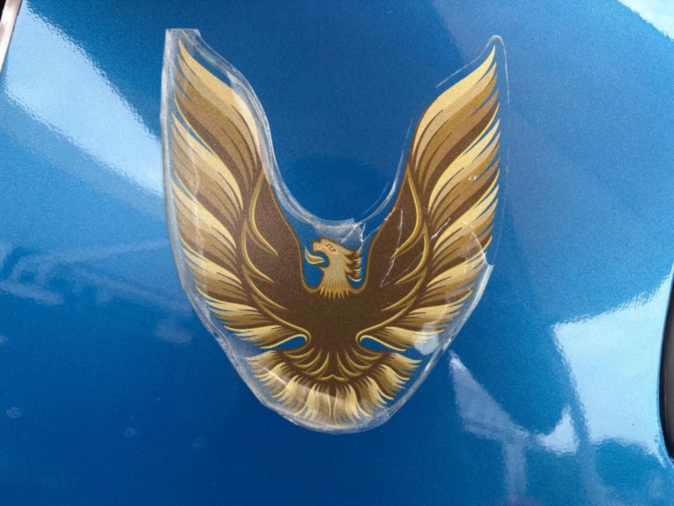 1979 Pontiac Firebird 2nd Gen - Image 23 of 31